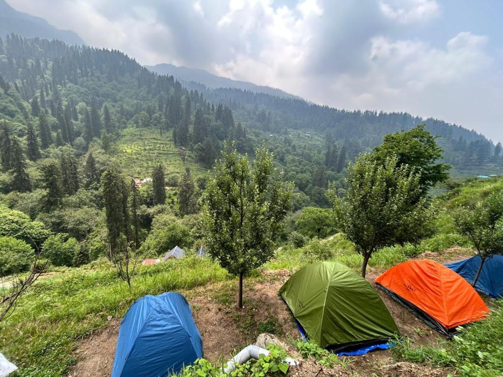 a group of tents on a hill with trees at The WILD Canopy in Kulu
