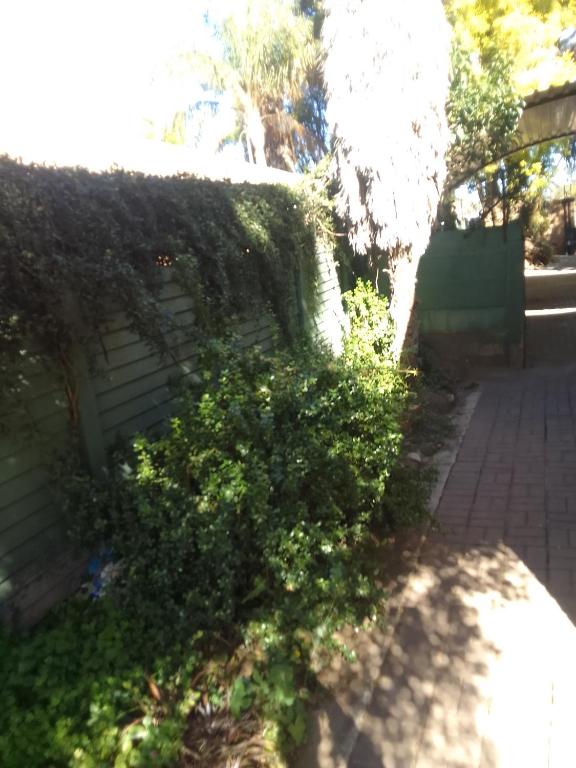 a building with ivy growing on the side of it at Star Contractors Accodation with self catering in Mahikeng