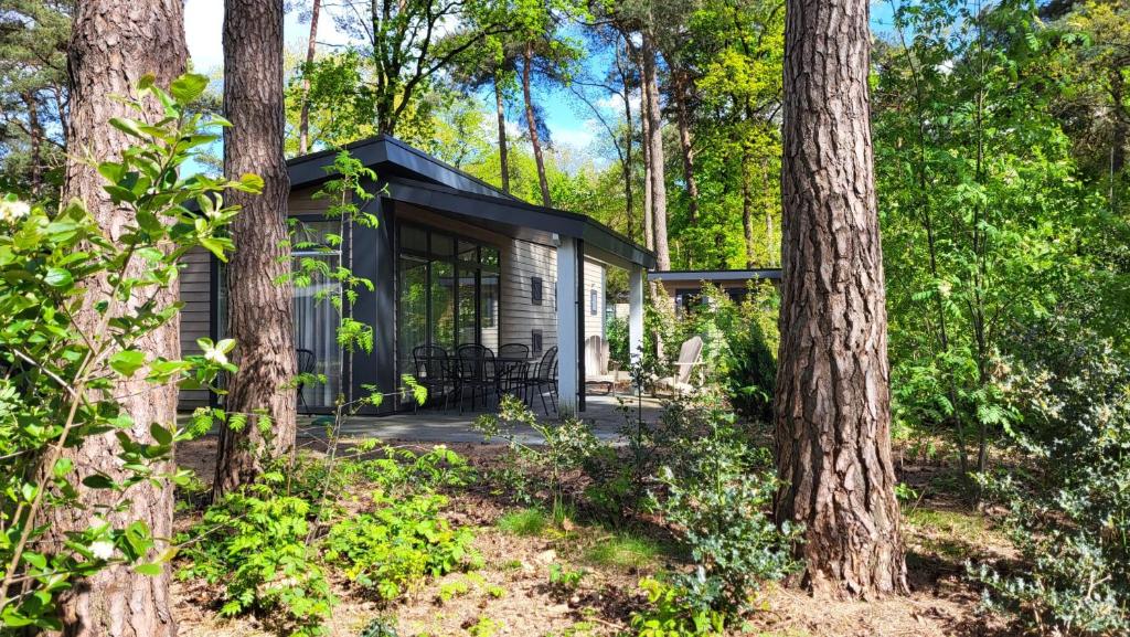 a cabin in the woods with trees at De Ankergooi! in Hardenberg