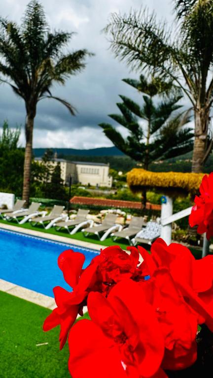 a bunch of red flowers sitting next to a pool at LAR DE SUSA in Pontevedra