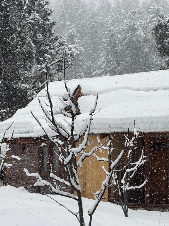 a snow covered tree in front of a building at Mansa Homestay in Kalgha