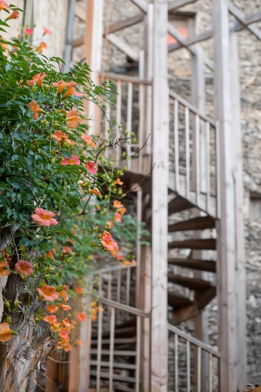 Magnifique eco-gîte des Marronniers avec terrasse - Apartamento De Un Dormitorio