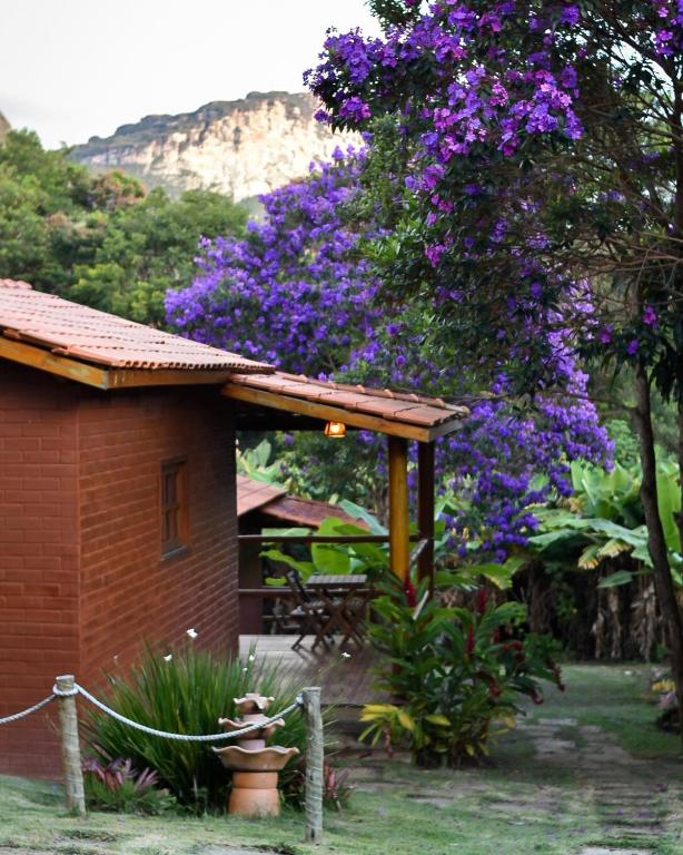 a tree with purple flowers next to a house at Chalés Vila Do Vale in Vale do Capao