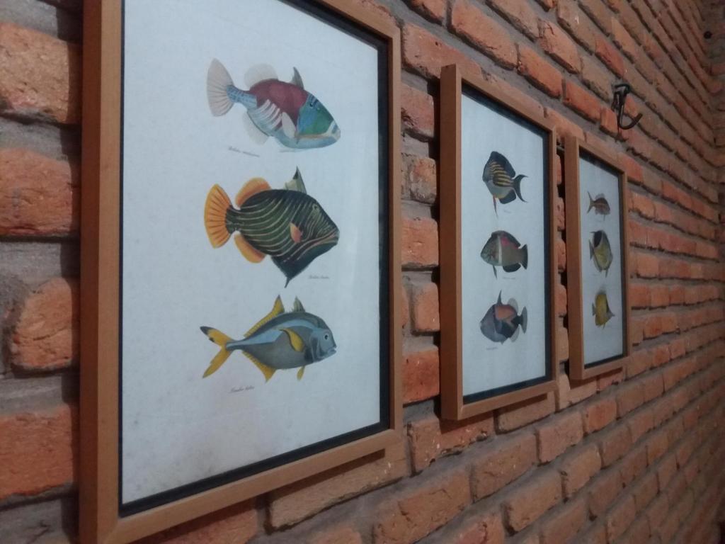  Mansão Macedo com Cozinheira