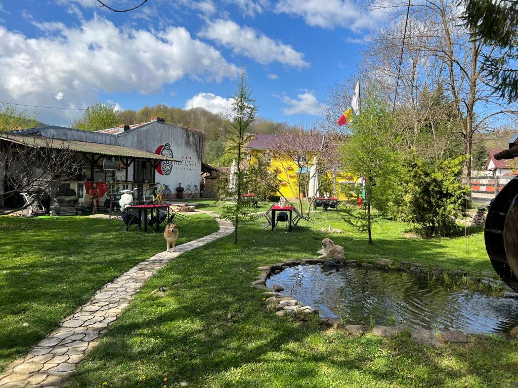 two cats standing around a pond in a yard at Pensiunea Deceneu in Slănic