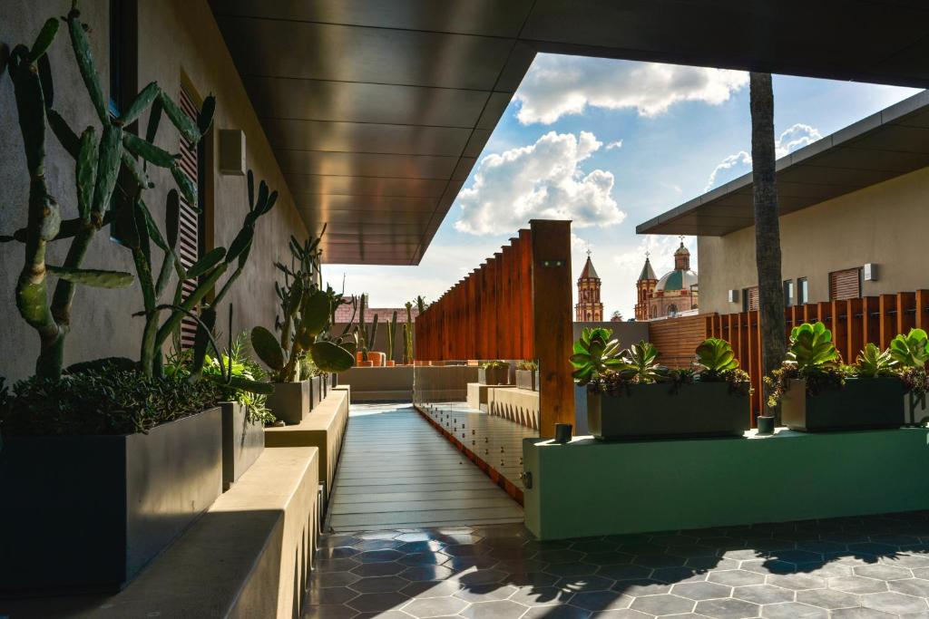 a balcony with potted plants on a building at Hotel Criol in Querétaro