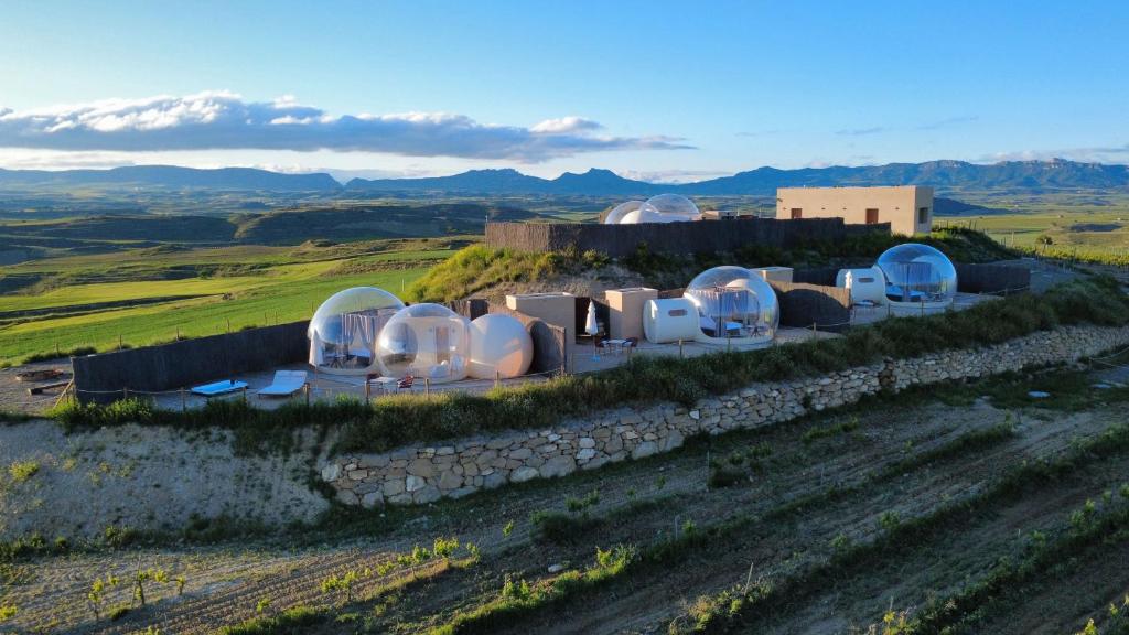 Wine Bubble Experience - imagen 4