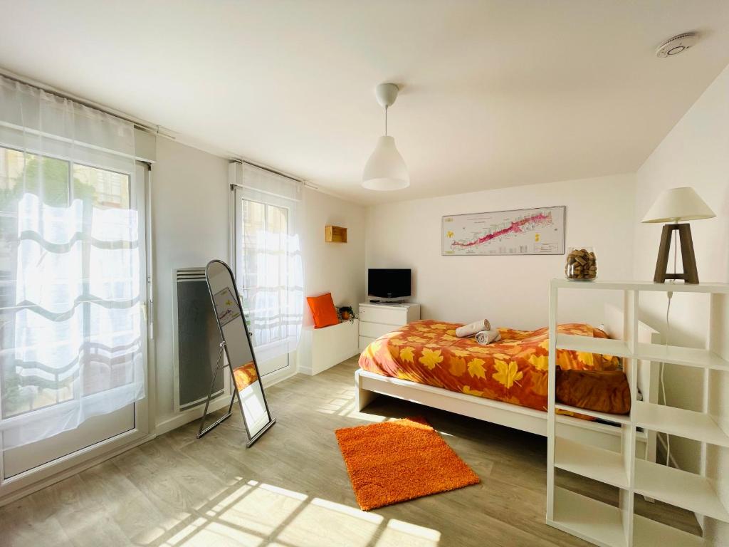 a bedroom with a bed and a tv and a window at Hyper centre, rue piétonne, calme et lumineux in Dijon