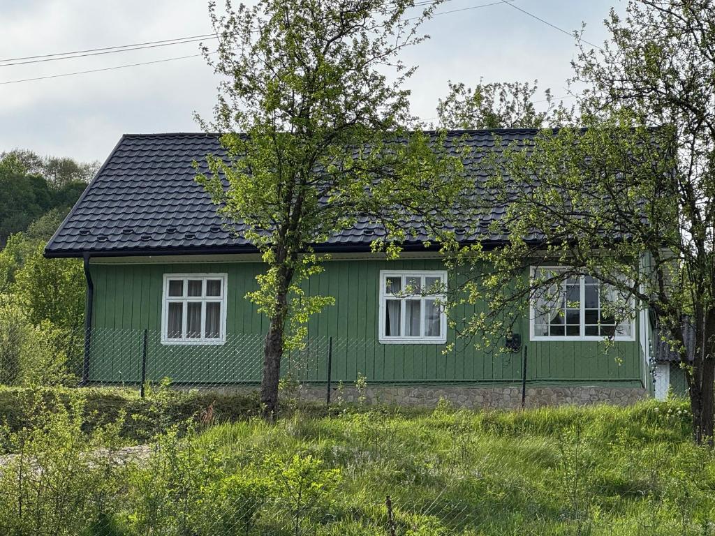 a green house with a black roof at zelena khata in Sopot