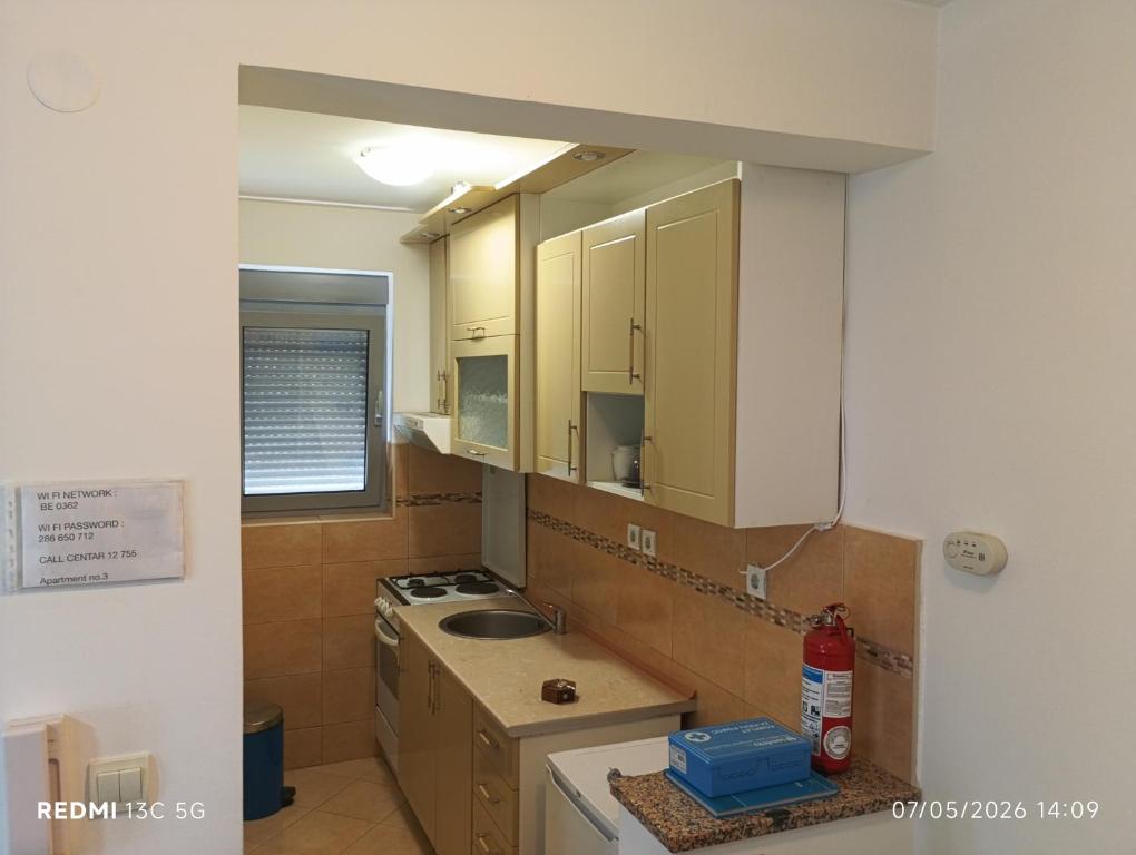 a small kitchen with a sink and a stove at Apartment Grandis in Škaljari