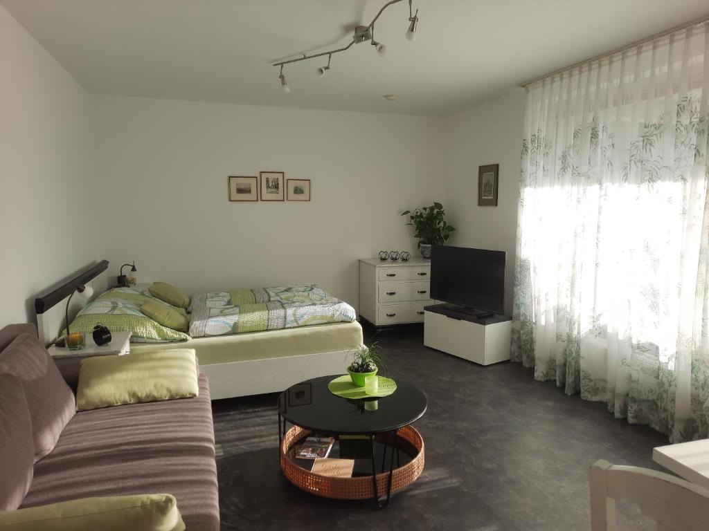 Ferienwohnungen Triebels - Housity