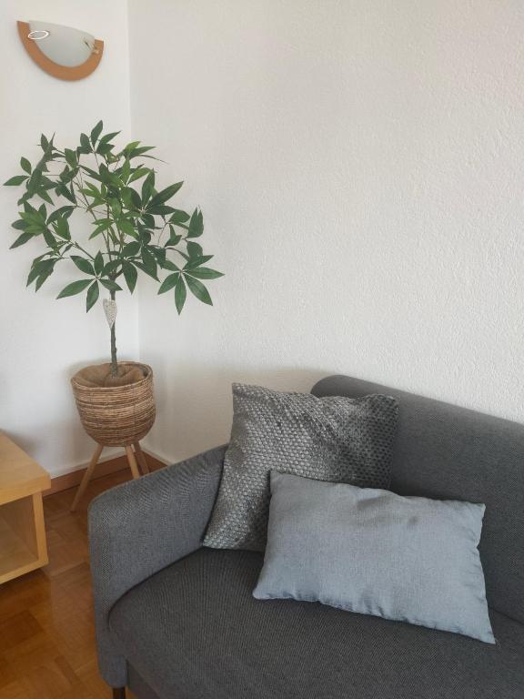 Appartement proche du Coeur de Colmar et de la gare – photo 10