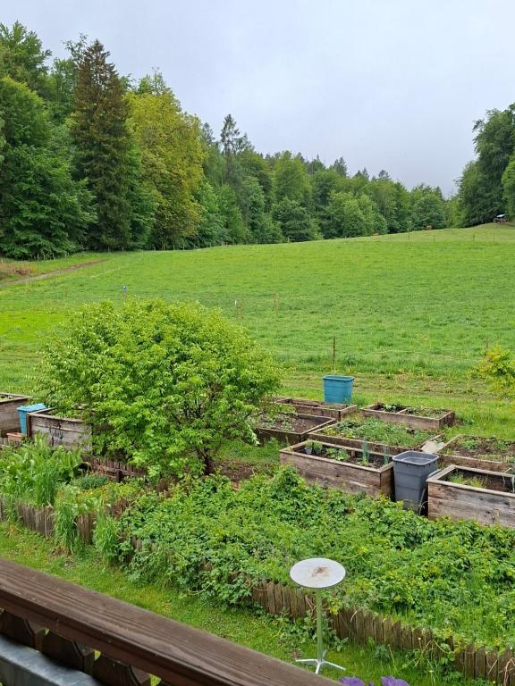 a field with several boxes of plants in a garden at FerienwohnungenKRAINZ in Dobein