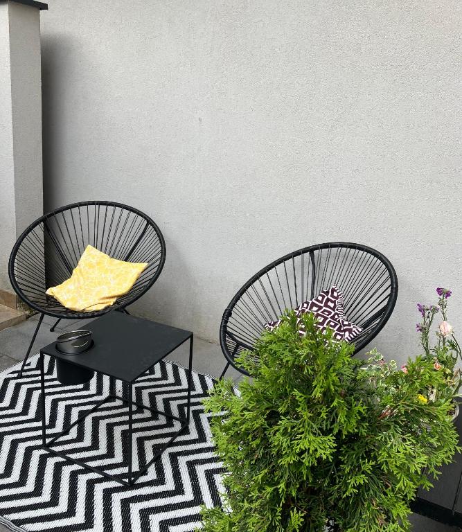 Le cocon – photo 11