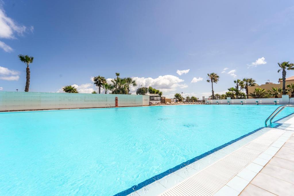 Oasis Fuerteventura