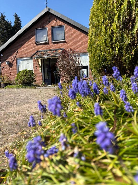 a house with purple flowers in front of it at Effe d'r ut in Hengelo