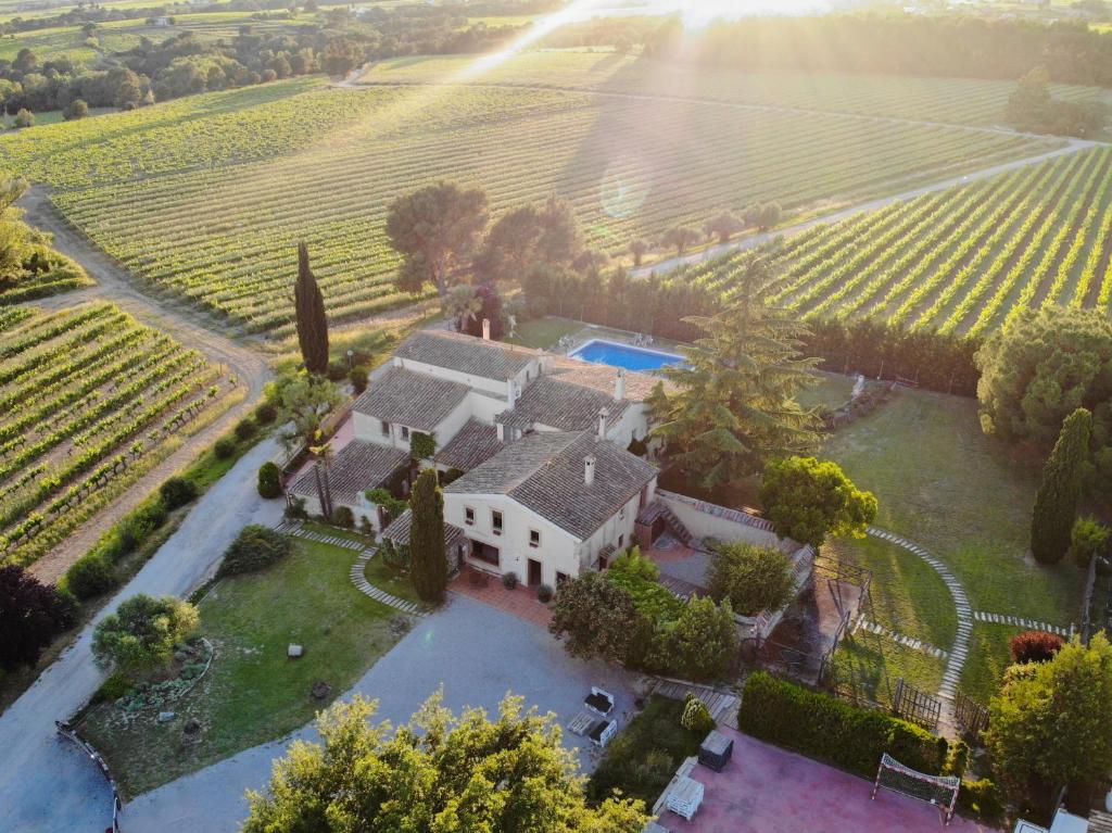 an aerial view of a house in a vineyard at Masia Olivera in Sant Pau dʼOrdal