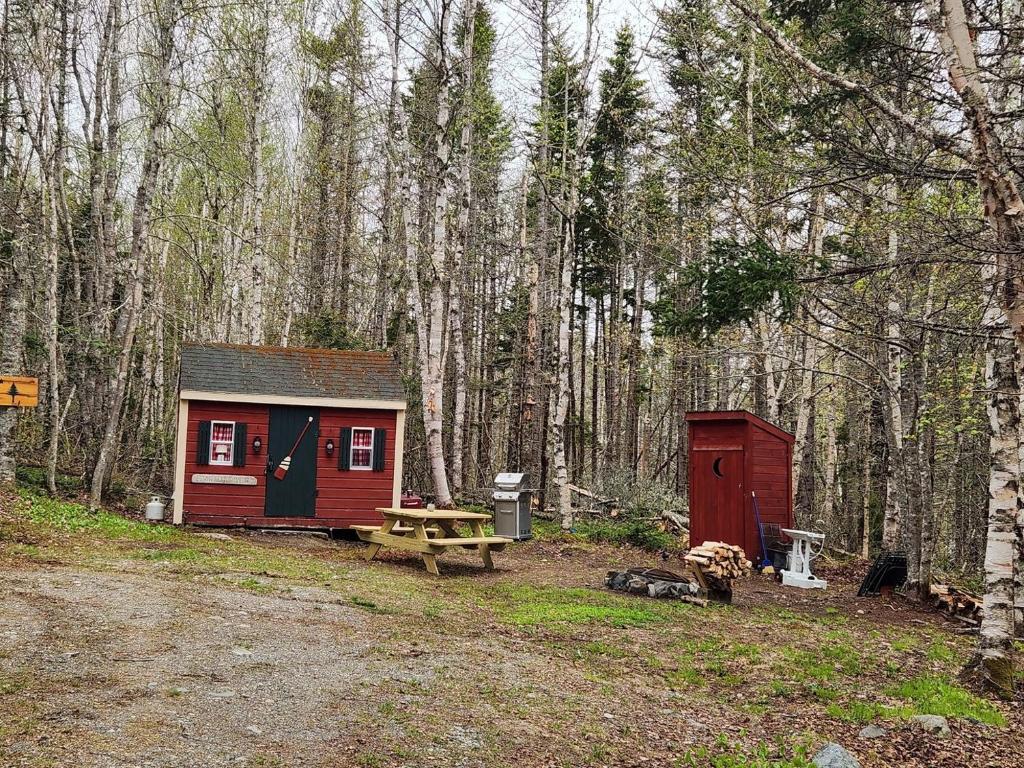 a shed and a picnic table in the woods at Twin Bucks Cabin in Whiting
