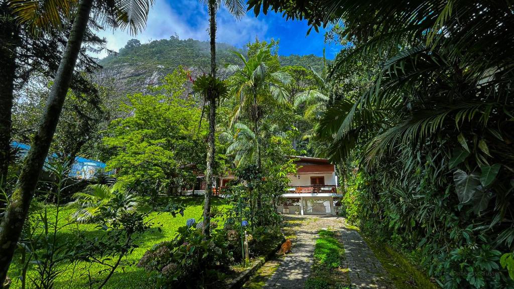 a house in the middle of a jungle with palm trees at Casa Smile in Teresópolis
