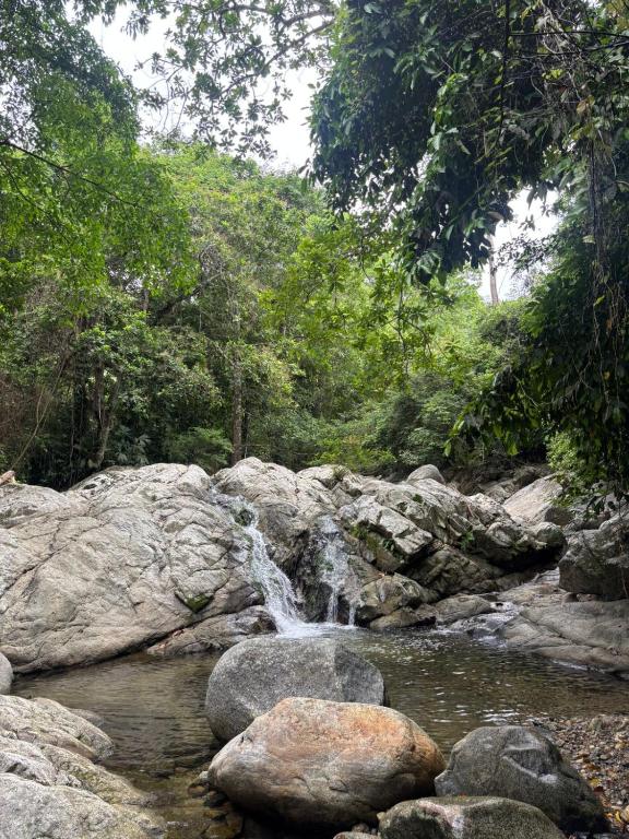 a waterfall in a river with rocks and trees at Hostal Nomadax Tayrona in El Zaino