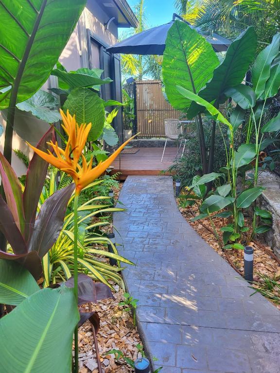 a pathway through a garden with plants and a blue umbrella at Le Studio Joli in La Possession