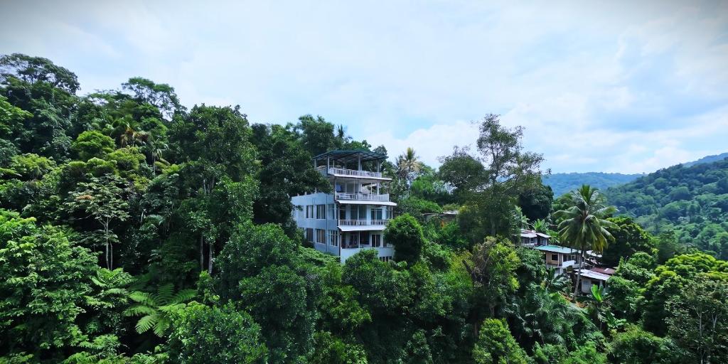 a building on a hill in the middle of trees at Celanika resort in Kandy