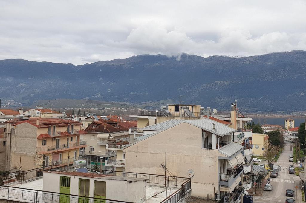 a city with buildings and mountains in the background at BlackGeorge Apartment Mountain View in Ioannina