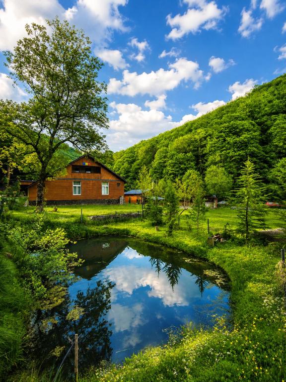 a pond in the middle of a field with a house at Cabana Tarța din Blidari 1 in Baia Mare