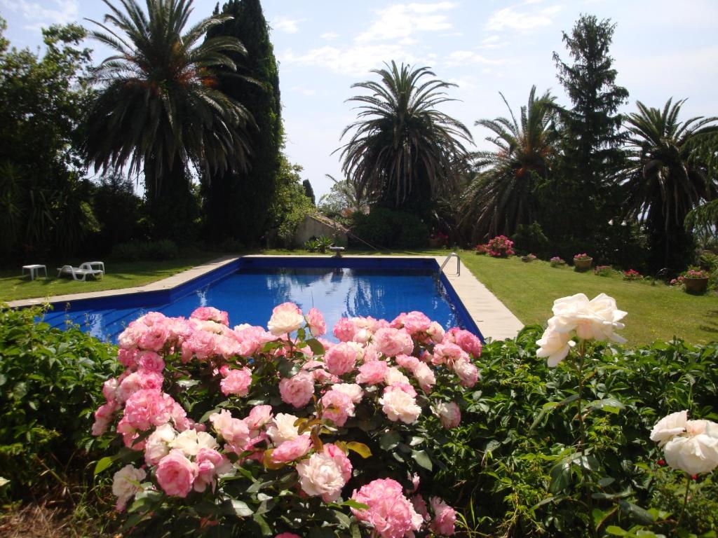 un giardino con rose rosa e una piscina di Villa Iolanda a Giarre