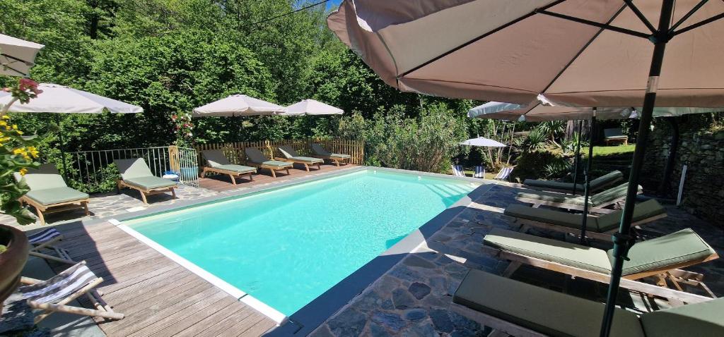 ein Schwimmbad mit Liegestühlen und Sonnenschirmen in der Unterkunft Stalla in Ortiporio