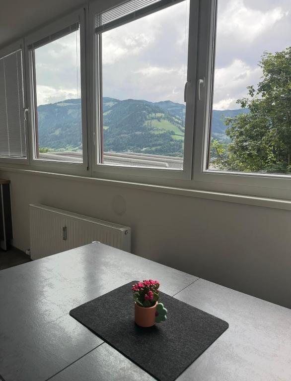 a room with a table with a potted plant on it at Apartment Zoe in Zell am See