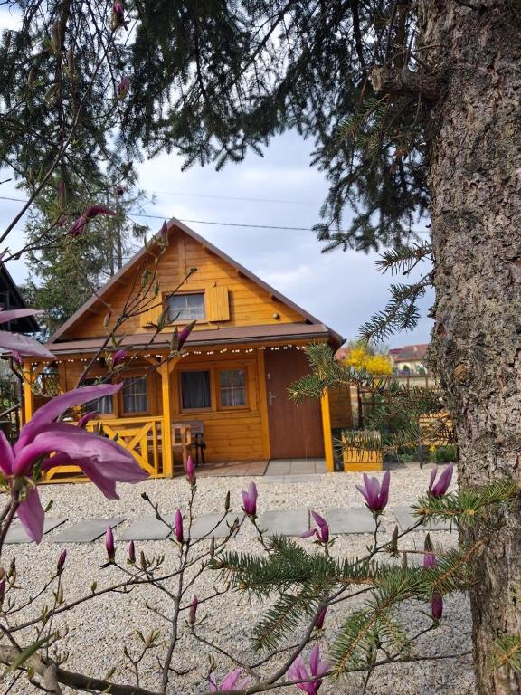a wooden house with purple flowers in front of it at Sosnowy Domek in Zator
