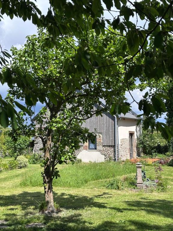 a tree in front of a stone house at Le Pressoir des Maisons de Blanche in Lengronne