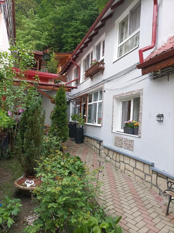 a house with a brick walkway in front of it at Casa Slanic House in Slănic-Moldova