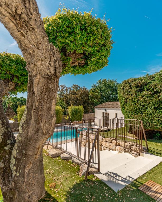 a tree next to a swimming pool at Le Cabanon de Val in Gassin