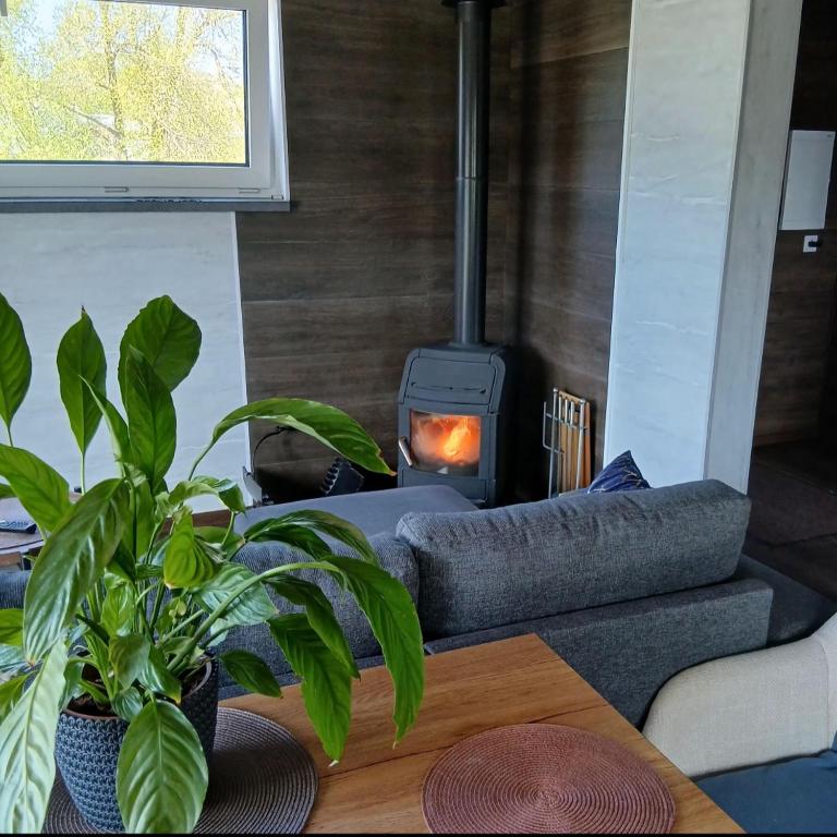 a living room with a fireplace and a couch and a table at Celmu Nams in Ventspils