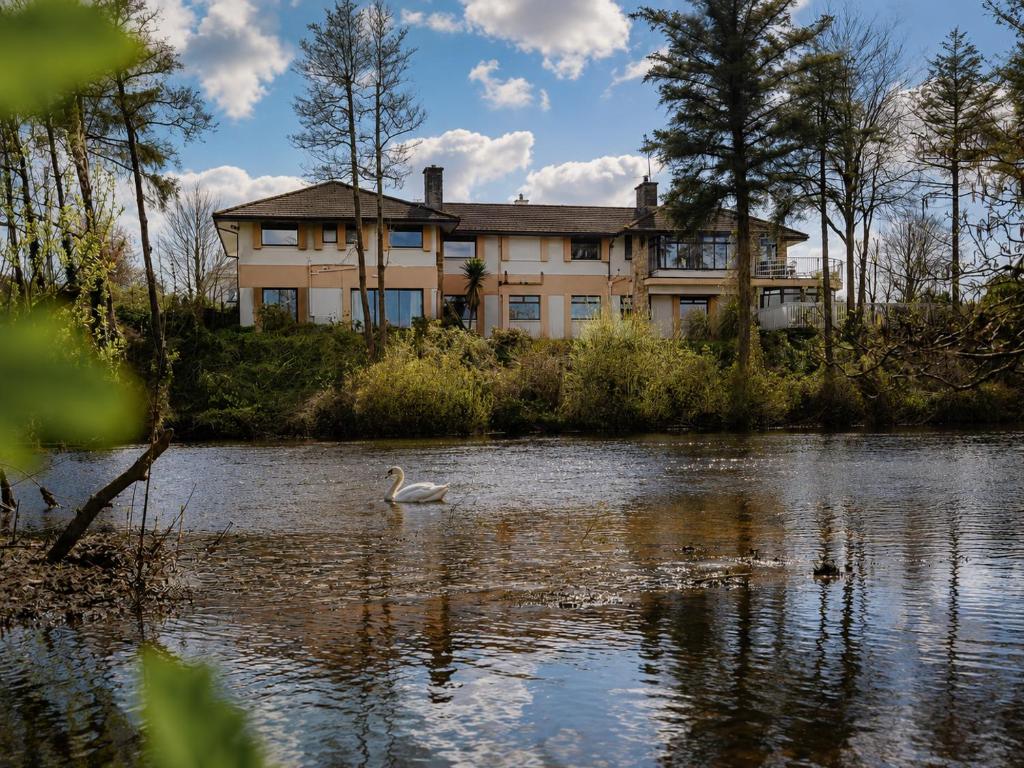 a swan in the water in front of a house at Killarney View House B&B in Killarney