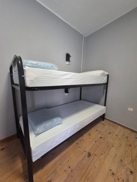 Albergue La Pinguina - Litera En Habitación Compartida Mixta