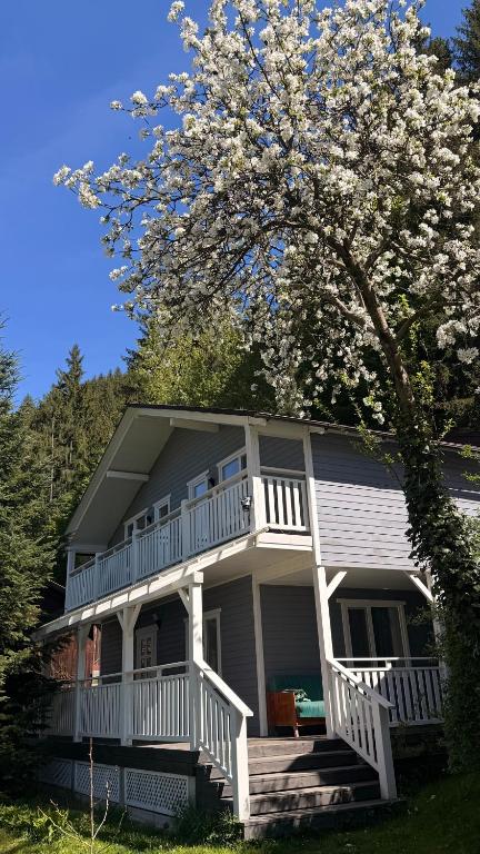 a large house with a deck and a flowering tree at Mountain House in Vygoda