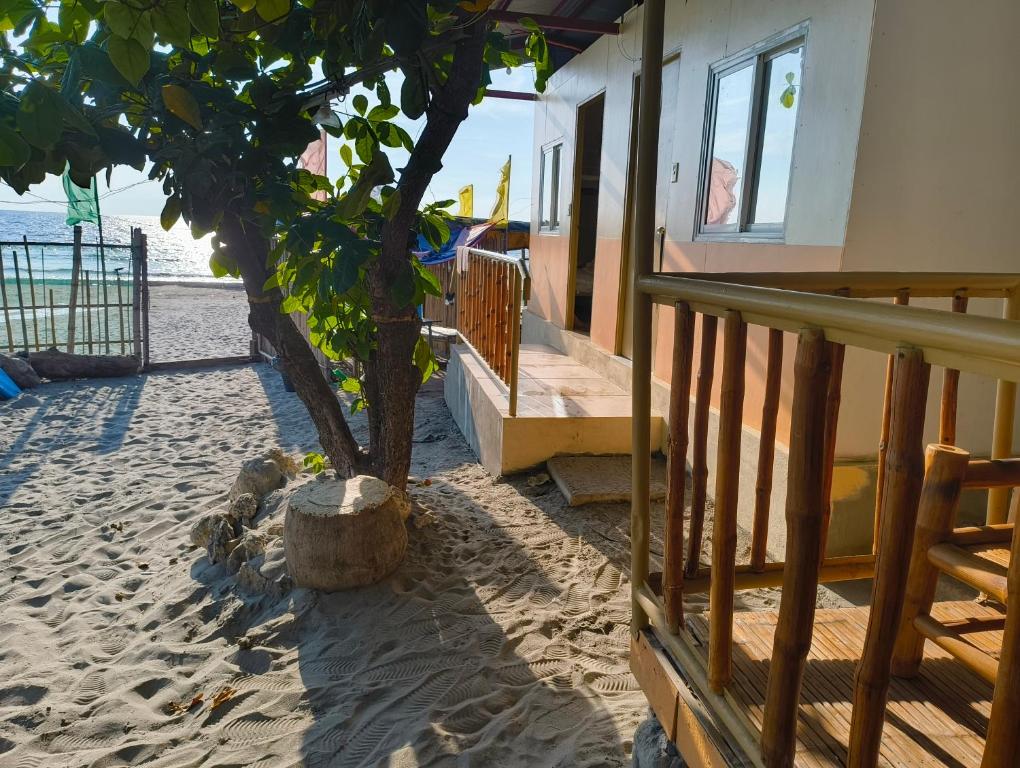 a tree in the sand next to a house at Elyu Seaside in San Juan