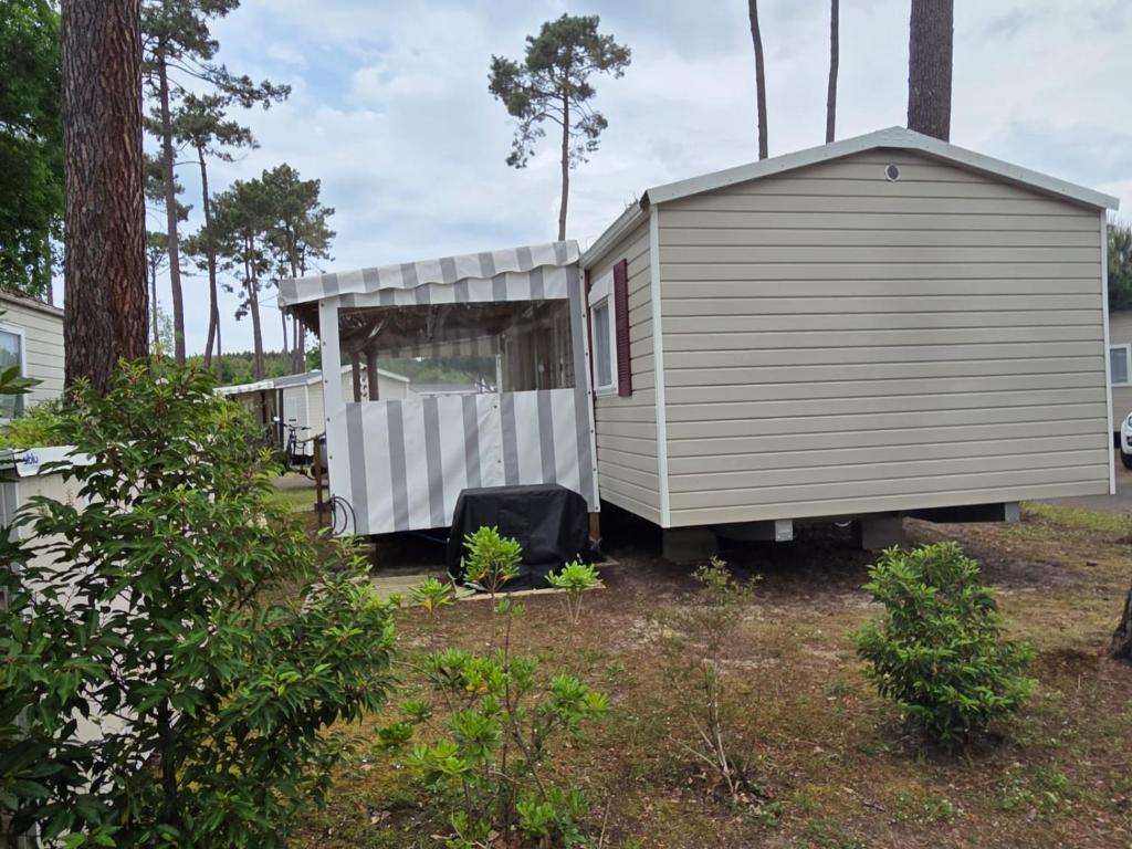 a tiny house sitting in a yard at Sous les Pins dans camping 4 étoiles MH familial 322 6 à 8 couchages 2 salles de bain 2 WC in Saint-Julien-en-Born