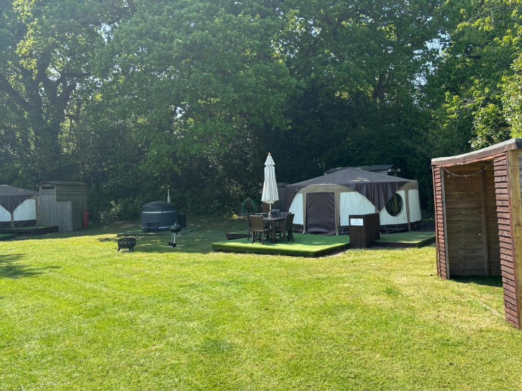 a group of tents in a yard with a grass field at Old Dairy Farm Glamping in Emsworth
