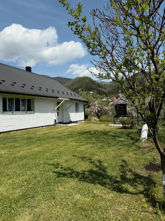 a house with a grass yard next to a building at Fochyn House in Krivorovnya