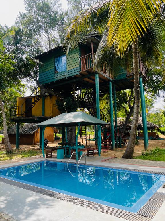 a tree house with a swimming pool at Eco Tree House Yala in Tissamaharama