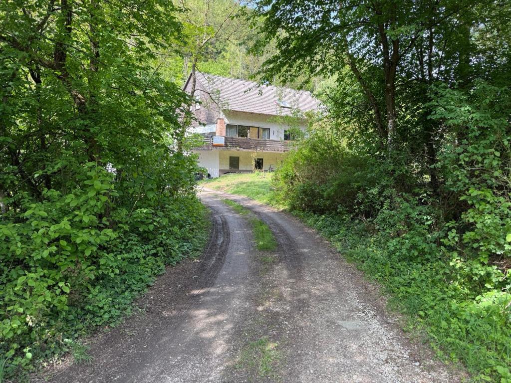 a dirt road in front of a house at Gästeunterkunft Am Hirschbach in Hirschbach