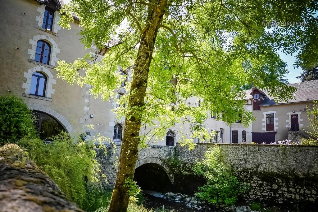 a tree in front of a building and a bridge at Moulin XVe siècle - Gîte privatif 8 pers - Rivière - Châteaux de la Loire in Vineuil