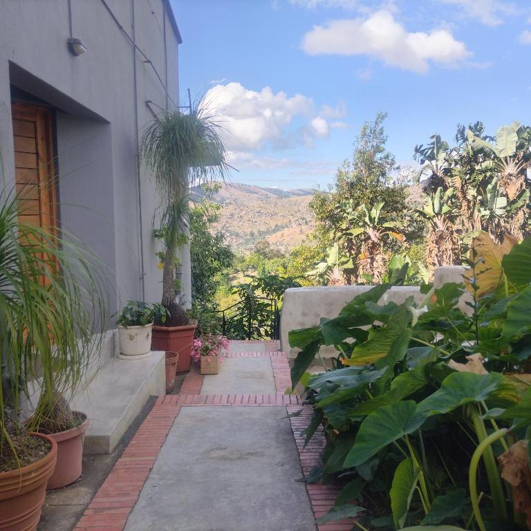 a walkway with potted plants on a building at the Moonflower in Mbabane