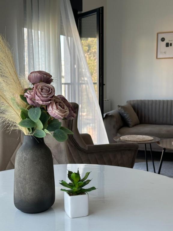 a vase with roses on a table in a living room at Golden Nest in Tuzla