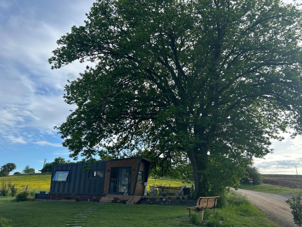 a tree and a tiny house next to a tree at Au Coin du Chêne in Thaon-les-Vosges