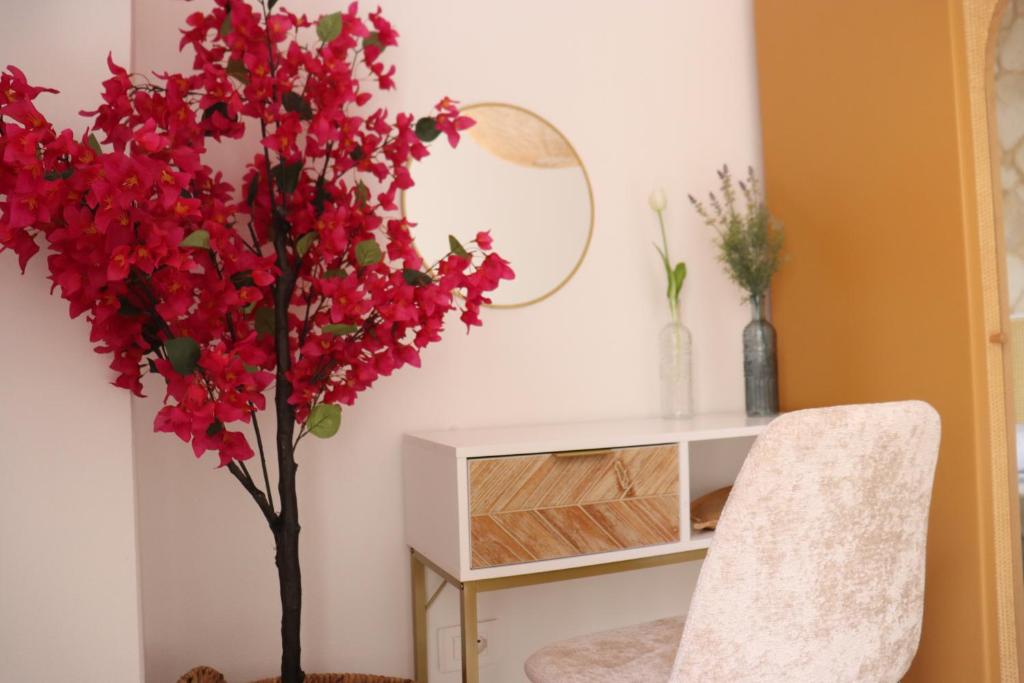 a plant with red flowers in a room with a mirror at Residència Mediterrània Alguer in Alghero